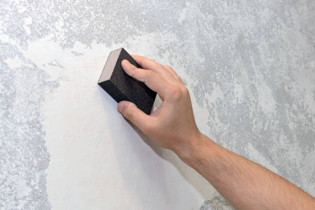 Mold Odor Removal Services in Westover, WV