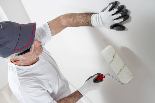 Mold Documentation for Insurance Claims in Westover, WV