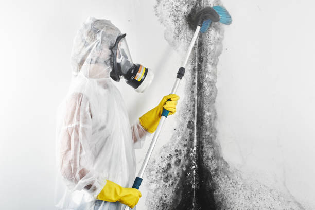 Best Indoor Air Quality Assessment  in Westover, WV