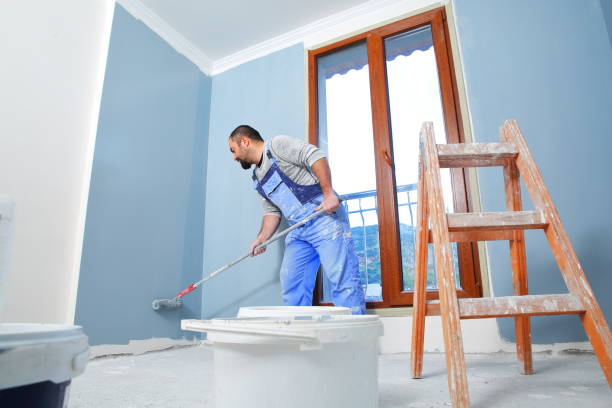 Best Basement Mold Removal  in Westover, WV