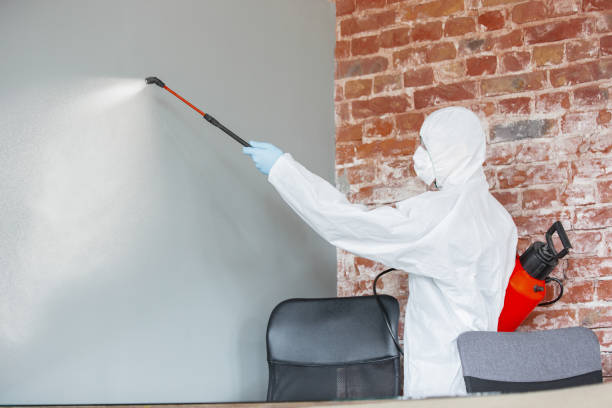 Best Mold Documentation for Insurance Claims  in Westover, WV