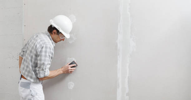 Best Black Mold Removal  in Westover, WV