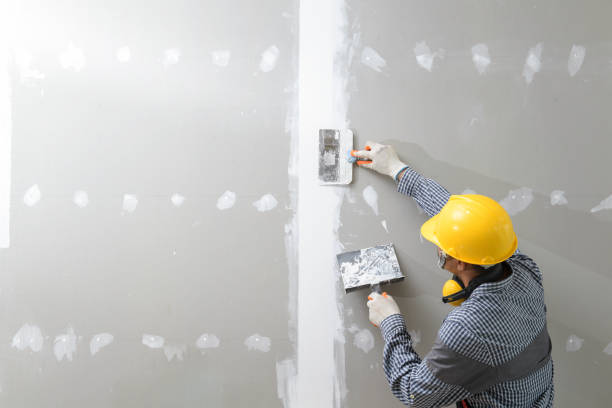 Best Comprehensive Air Testing for Mold Contaminants  in Westover, WV