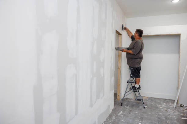 Best Industrial Mold Remediation  in Westover, WV