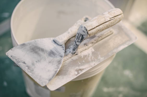 Best Mold Damage Restoration  in Westover, WV