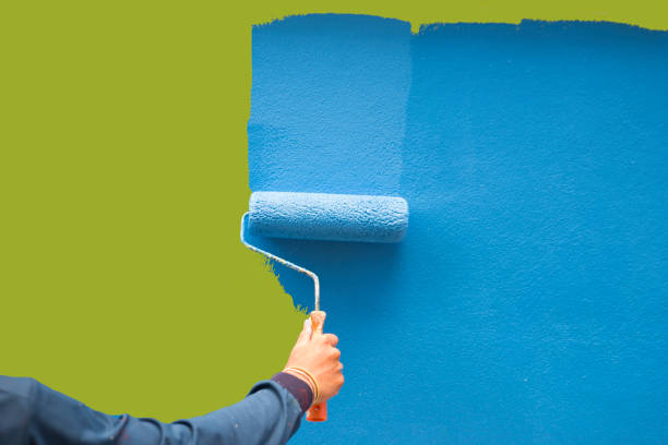Westover, WV Mold Removal Company